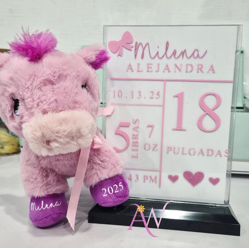 Placa de Nacimiento con Peluche (Personalizado)