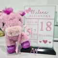 Placa de Nacimiento con Peluche (Personalizado)