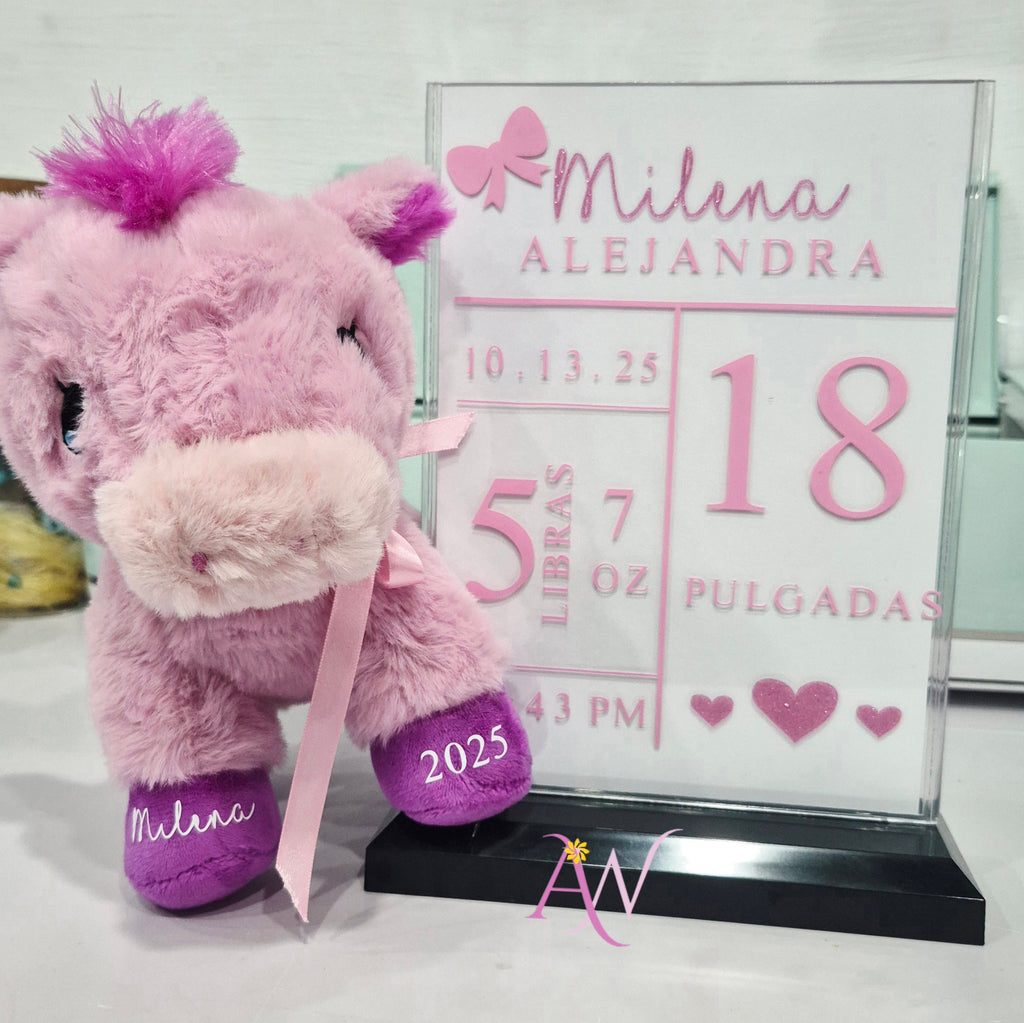 Placa de Nacimiento con Peluche (Personalizado)