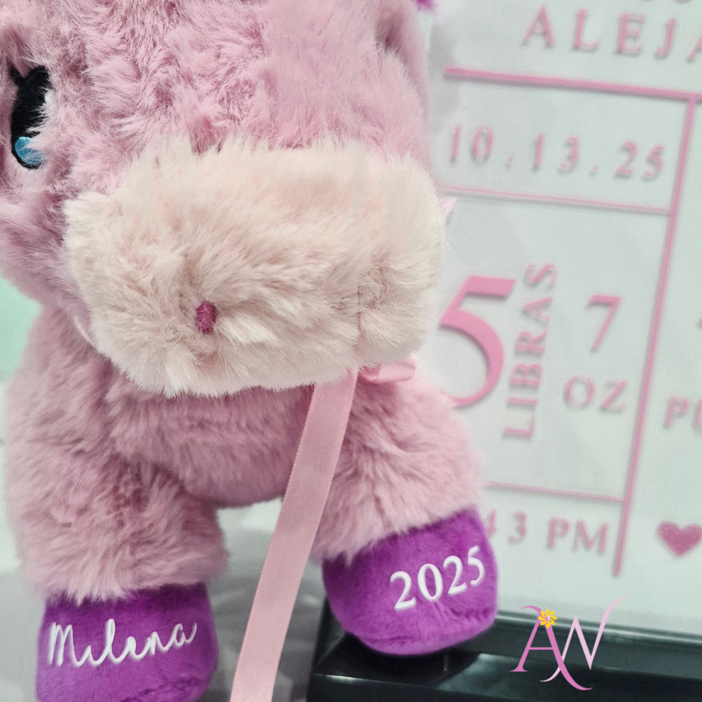 Placa de Nacimiento con Peluche (Personalizado)